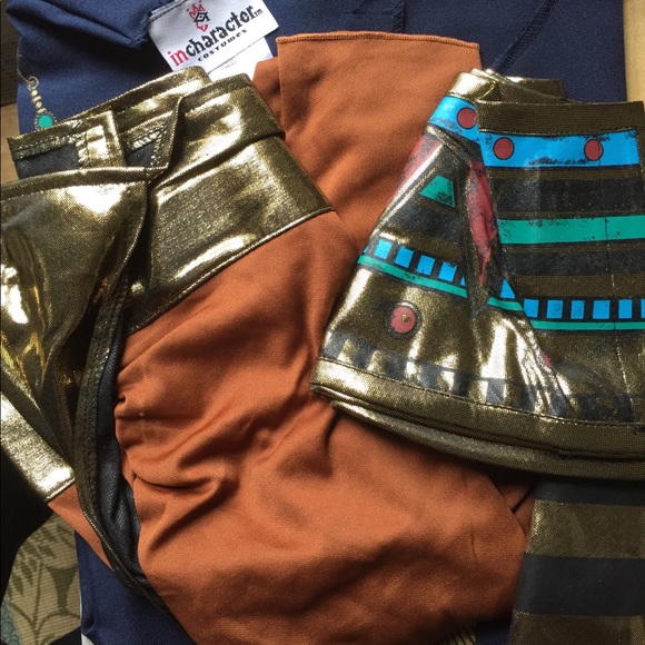 Men's Pharaoh Halloween Costume - Picture 4 of 7